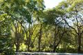 Property photo of 29 Indooroopilly Road Taringa QLD 4068