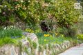 Property photo of 26 Days Road Uraidla SA 5142
