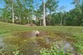 Property photo of 58 Landershute Road Palmwoods QLD 4555