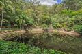 Property photo of 35 Bourke Lodge Drive Currumbin Valley QLD 4223