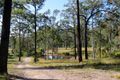 Property photo of 13 Lillipilli Close Booral NSW 2425
