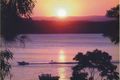 Property photo of 124 Coal Point Road Coal Point NSW 2283