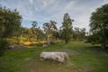 Property photo of 45 Palm Terrace Forrestfield WA 6058