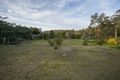 Property photo of 45 Palm Terrace Forrestfield WA 6058
