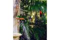 Property photo of 17 Percy Road Sandy Creek QLD 4515
