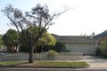 Property photo of 37 Pine Street Brighton East VIC 3187