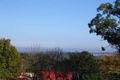 Property photo of 41 Ryland Avenue Croydon VIC 3136