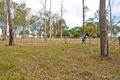 Property photo of 535 Brookland Road Allenview QLD 4285