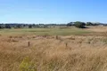 Property photo of Princes Highway Panmure VIC 3265
