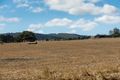 Property photo of 385 Bambra Cemetery Road Deans Marsh VIC 3235