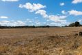 Property photo of 385 Bambra Cemetery Road Deans Marsh VIC 3235