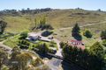 Property photo of 5950 Jerangle Road Jingera NSW 2622
