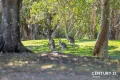 Property photo of 2 Silky Oak Place Pelican Waters QLD 4551