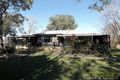 Property photo of 273 Temagog Road Temagog NSW 2440