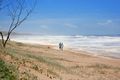 Property photo of 3309/923 David Low Way Marcoola QLD 4564