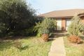 Property photo of 14 Wintersun Court Shepparton VIC 3630