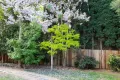 Property photo of 72 Bendooley Street Bowral NSW 2576