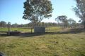 Property photo of 52 Smiths Road Tablelands QLD 4605