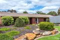 Property photo of 10 Paltarra Grove Aberfoyle Park SA 5159