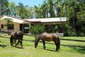 Property photo of 270 Upper Landershute Road Landers Shoot QLD 4555