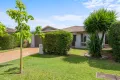 Property photo of 17 Aquatic Street Berrinba QLD 4117