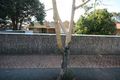 Property photo of 58 Ascot Avenue Vale Park SA 5081