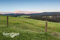 Property photo of 2969 Gembrook-Launching Place Road Gembrook VIC 3783