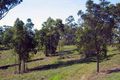 Property photo of 23 Willem Drive Draper QLD 4520