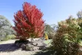 Property photo of 726 Willow Glen Road Lower Boro NSW 2580