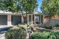 Property photo of 14 Windsor Road Glenunga SA 5064