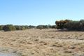 Property photo of LOT 226 Callistemon Loop Nilgen WA 6044