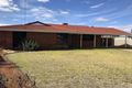 Property photo of 16 Teahan Street South Kalgoorlie WA 6430
