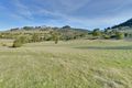 Property photo of 43 Bourbon Avenue Richmond TAS 7025