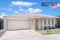 Property photo of 38 Cockatiel Circuit Craigieburn VIC 3064