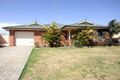 Property photo of 44 Talara Avenue Glenmore Park NSW 2745