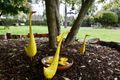 Property photo of 4 Couzens Lane Romsey VIC 3434