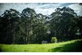 Property photo of 1971 Tyringham Road Bostobrick NSW 2453