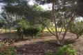 Property photo of 11 Hakea Street Lucindale SA 5272
