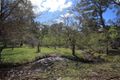 Property photo of 791 Kennedys Road Yaouk NSW 2629
