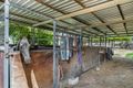 Property photo of 53 Old Swanport Road Murray Bridge SA 5253