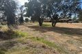 Property photo of 6 Macbride Place Kojonup WA 6395