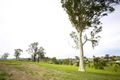 Property photo of 16 Rivergum Drive Aberglasslyn NSW 2320