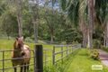 Property photo of 205 Upper Duroby Creek Road Upper Duroby NSW 2486