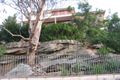 Property photo of 312 Eastern Valley Way Middle Cove NSW 2068