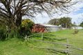 Property photo of 72 Riddoch Highway Tarpeena SA 5277