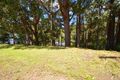 Property photo of 20 Chapman Crescent Avoca Beach NSW 2251