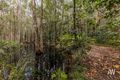 Property photo of 1619 Louis Bazzo Drive Boreen Point QLD 4565