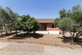 Property photo of 41 Priscilla Road Pooraka SA 5095