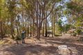 Property photo of 734 Cundinup South Road Cundinup WA 6275