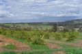 Property photo of 81 Beaufort Street West Toodyay WA 6566